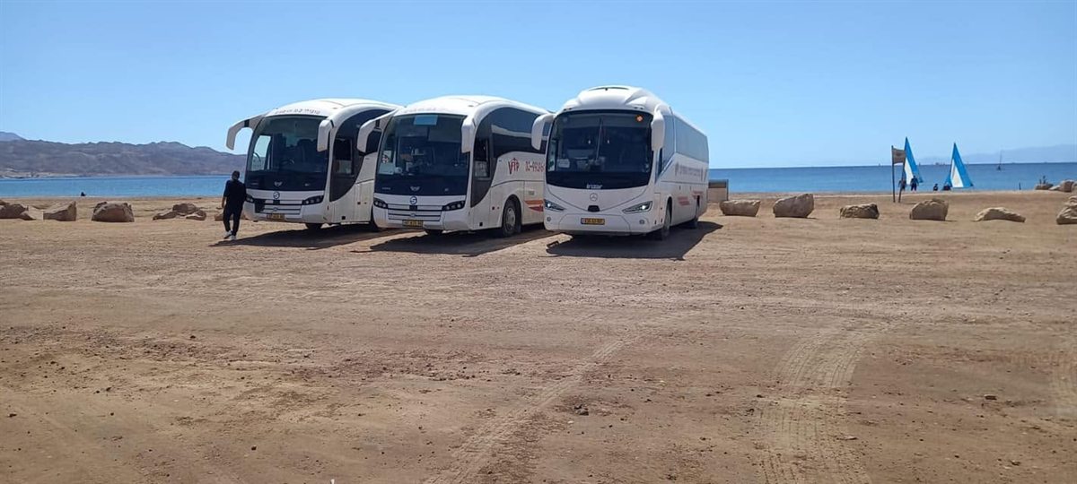 אוטובוסים של מובילי ב.מ בחוף אילת